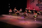 Thumbs/tn_Img_0426.jpg