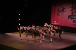 Thumbs/tn_Img_0471.jpg