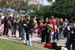 Thumbs/tn_Img_0525.jpg