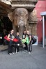 Thumbs/tn_Img_0558.jpg