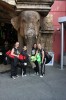 Thumbs/tn_Img_0559.jpg