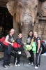 Thumbs/tn_Img_0560.jpg