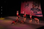 Thumbs/tn_Img_0602.jpg