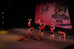 Thumbs/tn_Img_0603.jpg
