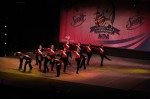 Thumbs/tn_Img_0833.jpg