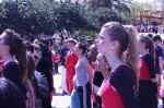 Thumbs/tn_Img_1154.jpg