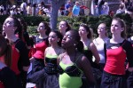 Thumbs/tn_Img_1161.jpg