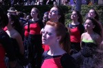 Thumbs/tn_Img_1177.jpg