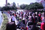 Thumbs/tn_Img_1208.jpg