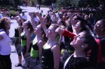 Thumbs/tn_Img_1212.jpg