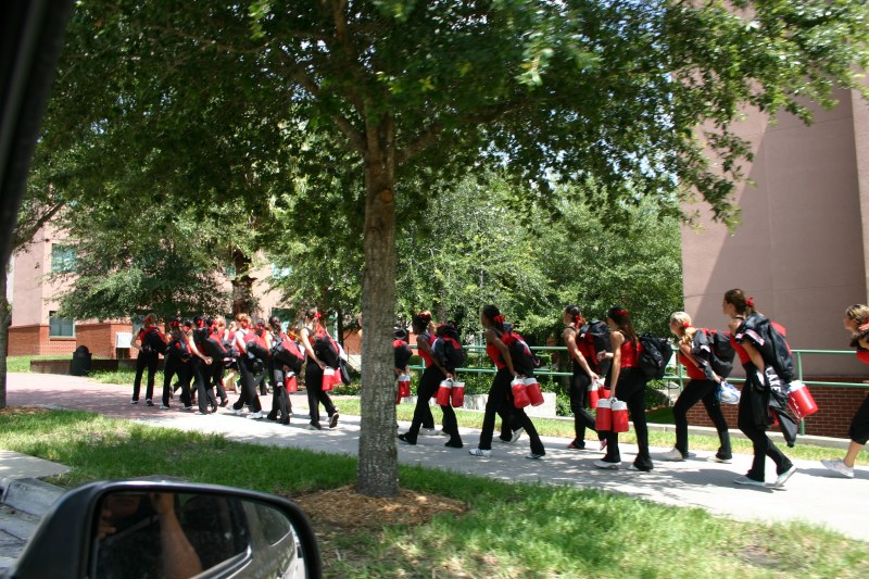 ../Images/usfcamp434.jpg