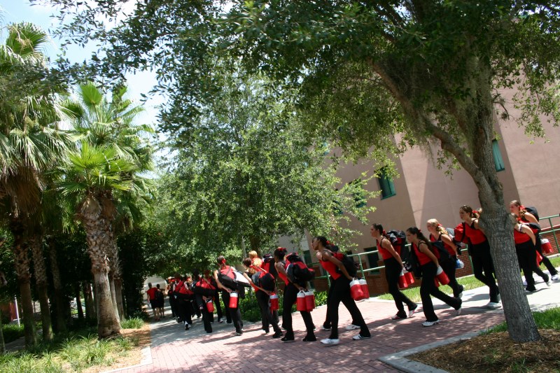 ../Images/usfcamp436.jpg
