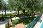 Thumbs/tn_usfcamp421.jpg