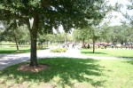 Thumbs/tn_usfcamp428.jpg