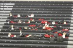 Thumbs/tn_UDA10_0150.jpg