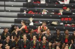 Thumbs/tn_UDA10_0263.jpg