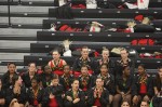 Thumbs/tn_UDA10_0267.jpg