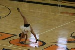 Thumbs/tn_UDA10_0332.jpg