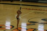 Thumbs/tn_UDA10_0348.jpg