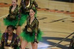 Thumbs/tn_UDA10_0920.jpg