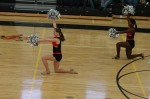 Thumbs/tn_UDA10_0944.jpg