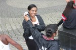 Thumbs/tn_Magic40DA_0049.jpg