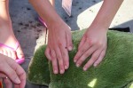 Thumbs/tn_RSJS_NDAQualify_0857.jpg