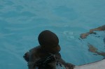 Thumbs/tn_Img_8385.jpg