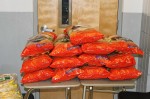 Thumbs/tn_Motion141.jpg