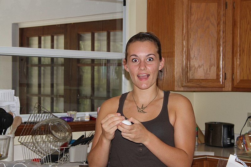 ../Images/Eggs023.jpg